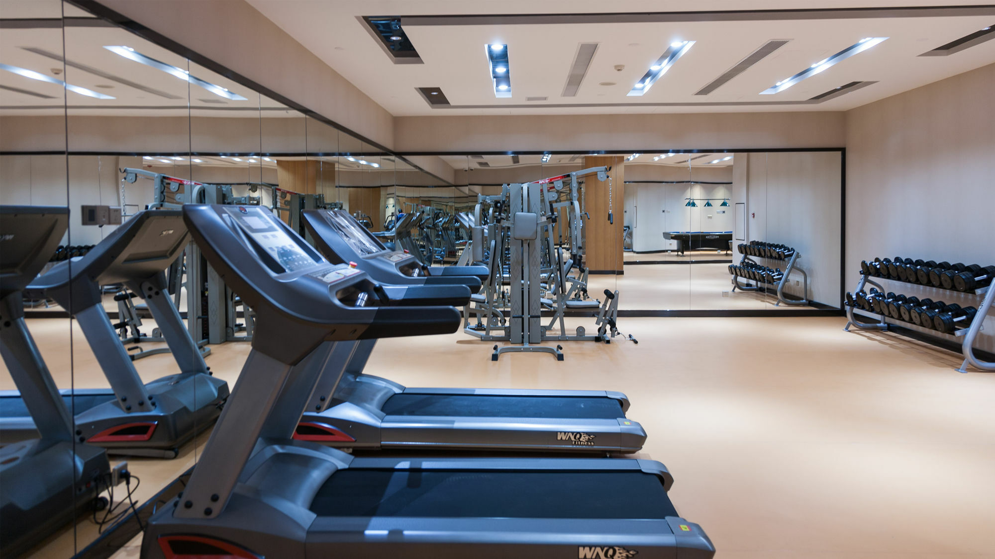 Holiday Inn Nanjing Xuanwu Lake By Ihg Екстер'єр фото
